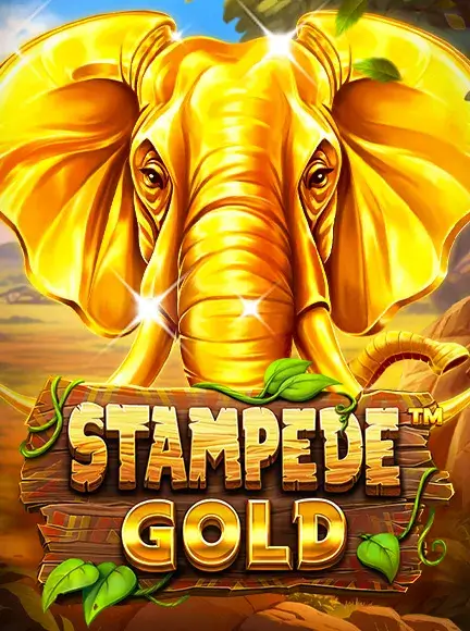 Stampede Gold